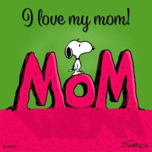 FB_IMG_1660554582431