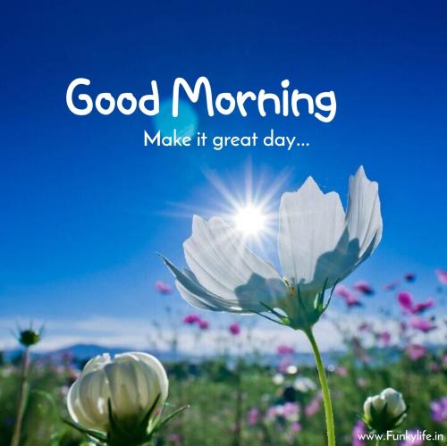 ed7e697358e7e17df93d431a905fec95