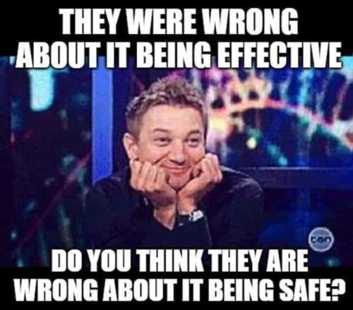 FB_IMG_1661176545339