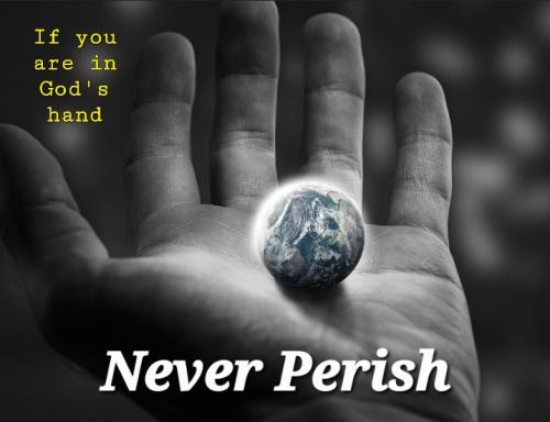 Screenshot_20220805-065336_DuckDuckGo