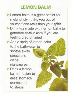 20:01:56 GMT-0500 (CDT)