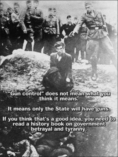 gun control209
