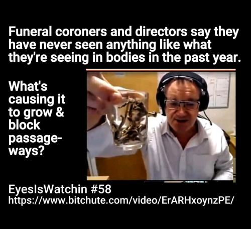 Screenshot_2022-08-02-10-23-52-181_cn.wps.moffice_eng~2