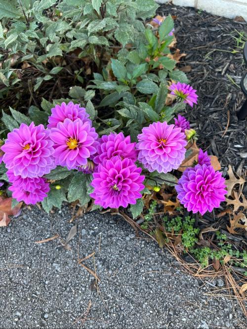 7076536E-F77A-4C7F-A3E8-FD0AB21D7A72