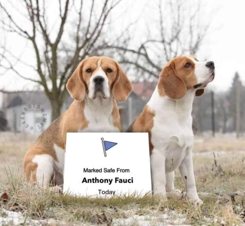 FB_IMG_1661268498631