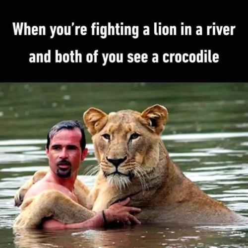 FB_IMG_1661882037682