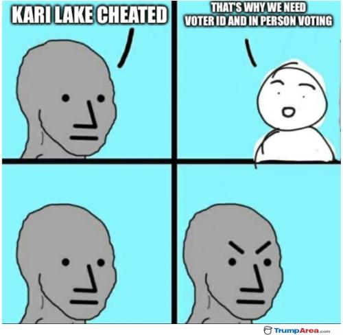 we-need-voter-id2404