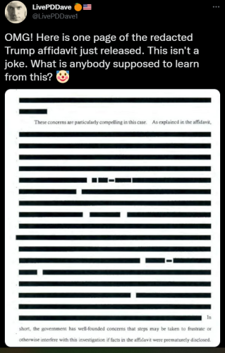Affidavit 1