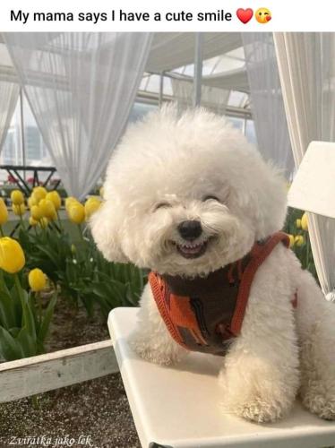 FB_IMG_1659300593083