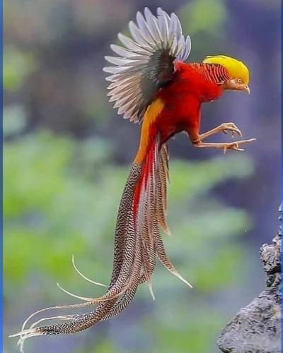 300177591_5393661100703508_5285843202354944298_n