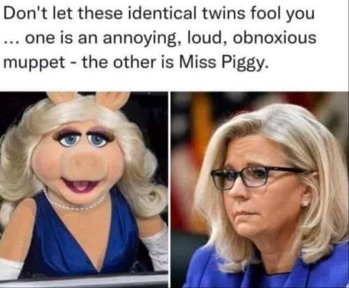 FB_IMG_1659897532287