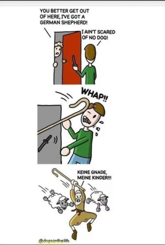 67478176_1257419987750724_5398818610271485952_n