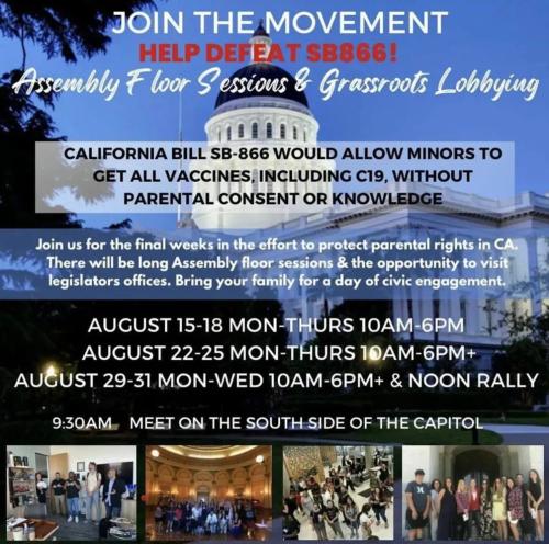 Califonria - Aug 2022 - Call to Action - Defeat SB866