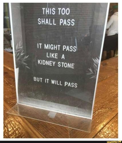 img - 2022-08-13T140507.321