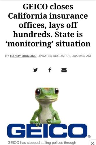 FB_IMG_1659507430572