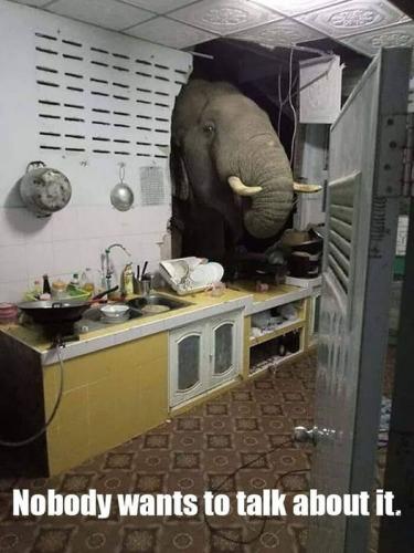 297862740_5737445096288240_4272709298056129206_n