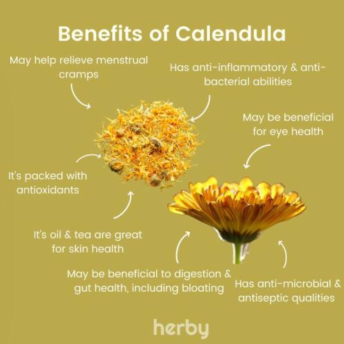 19:34:16 GMT-0500 (CDT)