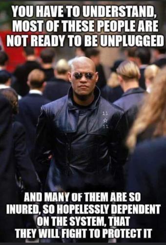 FB_IMG_1660277901866