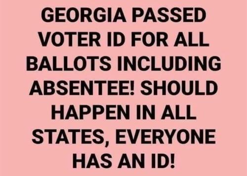 Georgia Voter ID