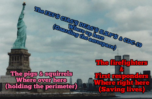 Polish_20220816_071441964