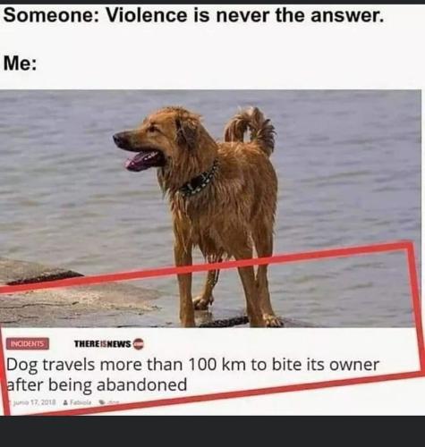 299469109_634552888233068_2145912446750602706_n