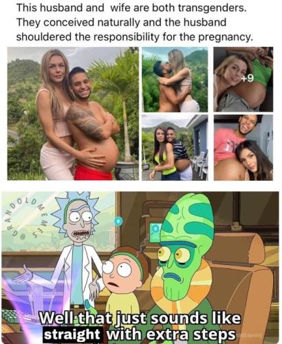 Trans_Preggo