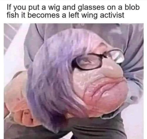 FB_IMG_1661273129665