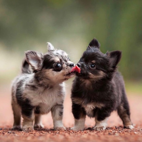 2022/08/98c64699de8683d5f55725c247636c89