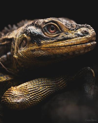 298666614_5143208465790988_6876261390937931780_n