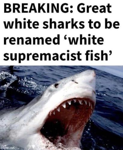 E9583D46-0E3B-4B8D-B0D5-A7BEE11FD878