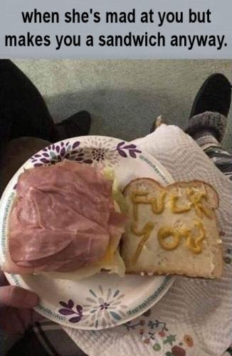 aint no sandwich05