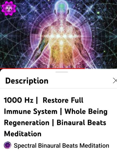 Screenshot_2022-08-12-13-45-50-378_com.google.android.youtube~2