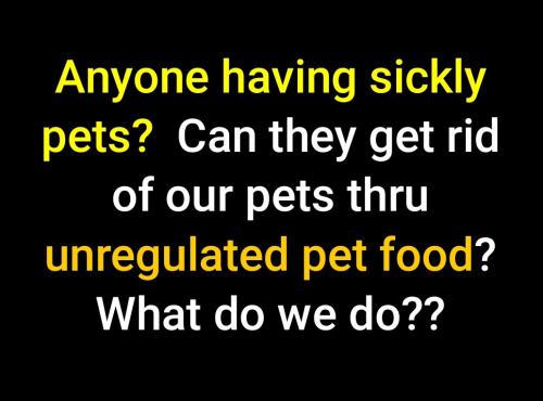 Screenshot_2022-08-19-07-19-33-978_cn.wps.moffice_eng~2