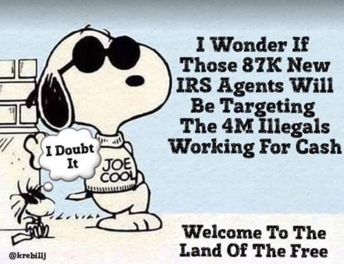 FB_IMG_1661826536432