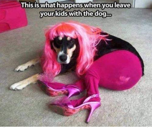 FB_IMG_1660937245607