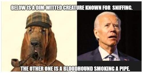 FB_IMG_1660361130324