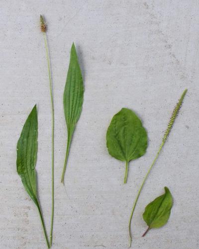 19:31:52 GMT-0500 (CDT)