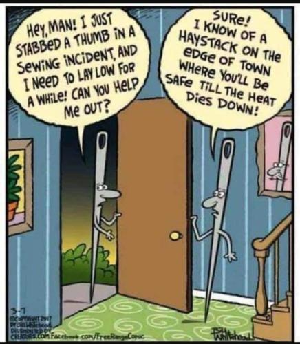 299414196_171174752103438_8013024052697859164_n