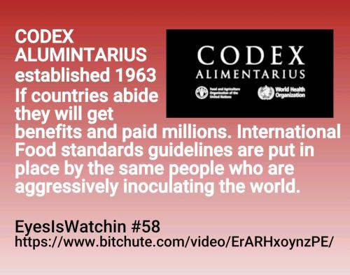 Screenshot_2022-08-02-09-42-30-450_cn.wps.moffice_eng~2