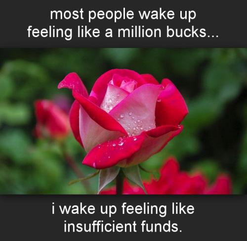 most people wake up feeling like a million bucks