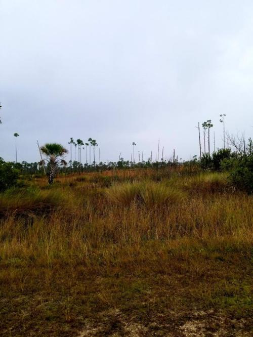 c01988ed-7fa7-4c97-acd2-5ee358183490