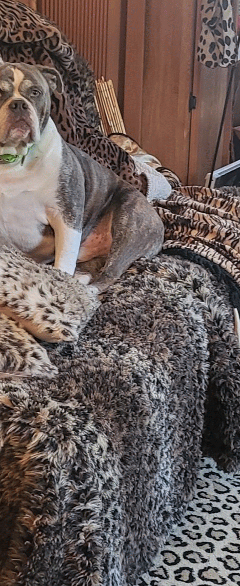 20220826_100242-ANIMATION