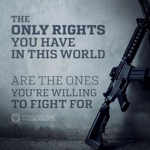 FB_IMG_1660849007675