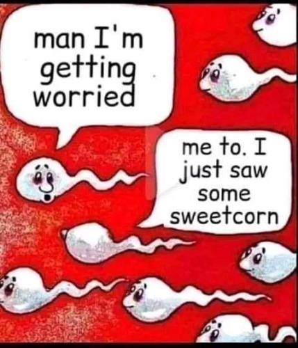 FB_IMG_1660664524232