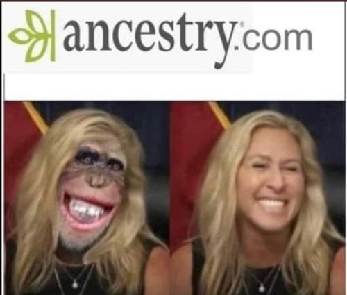 75ad3880-686e-411f-ac3c-77ac7071c322