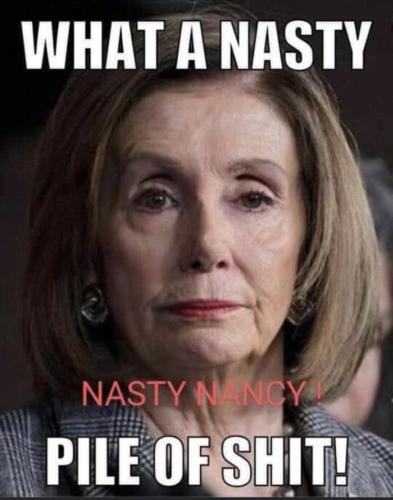 Pelosi 1