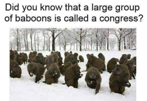 FB_IMG_1609822135739