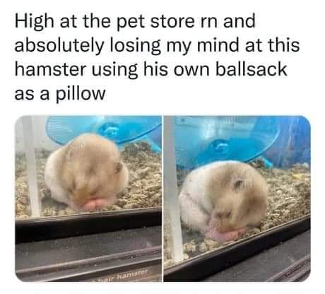 FB_IMG_1661438146461