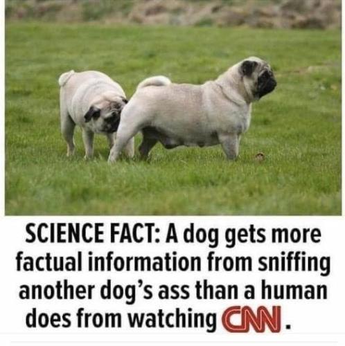 CNN 1