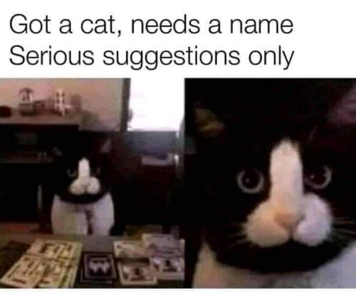 FB_IMG_1660766874906